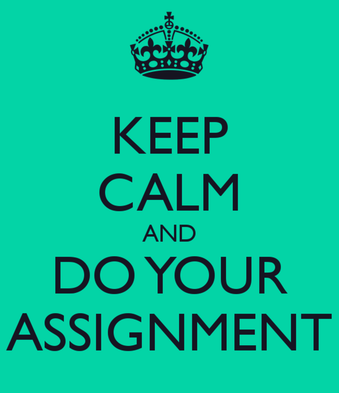 Link to Daily Assignments